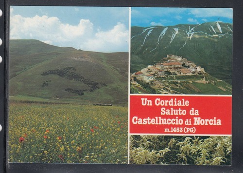 Cartolina cordiale saluto - cordiale,