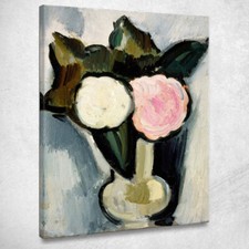 Fiori Rosa E Bianchi In Un