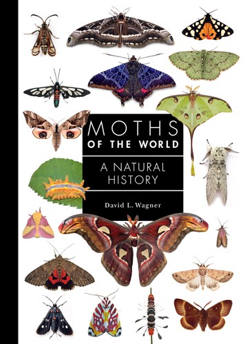 Moths the world a - of, natural