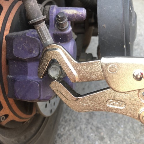 Morsa pinza becco pappagallo - morsa,
