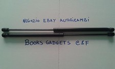 2 MOLLE A GAS BAULE POSTERIORE
