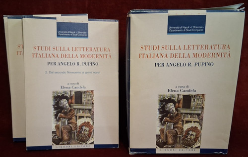 Studi sulla letteratura - studi,
