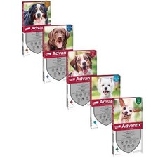 Advantix Spot-On Cani 4