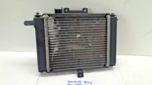 Radiatore acqua kymco people - radiatore,