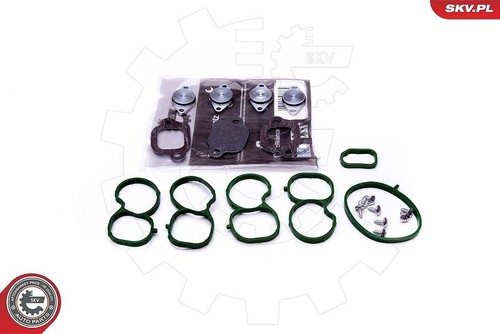 Kit riparazione esen skv - kit,