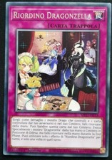 Riordino dragonzella rara - riordino,