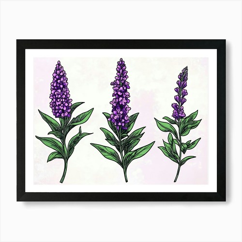 Quadro lupin art print - quadro,