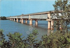 Cartolina Taglio di Po Ponte