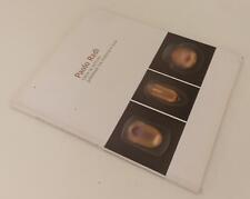 LT- PAOLO RADI OLTRE LA PITTURA PRESENZA TRA MATERIA E LUCE - FIORETTO- B-XFS161