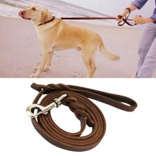 Guinzaglio per Cani da Animali