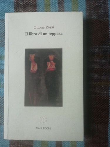 Libro del teppista ottone - il,