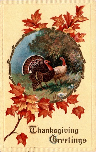 Cartolina ringraziamento - cartolina,