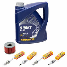 Kit ispezione olio 4L per