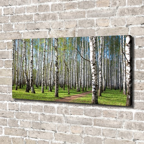 Quadro tela stampa - quadro, su