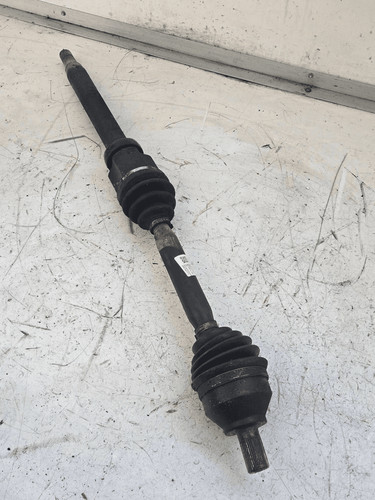 36000562 semialbero ant - 36000562,