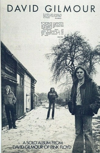 Pink floyd david - pink,