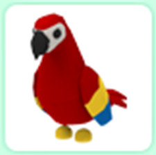 Pappagallo - Il Negozio di