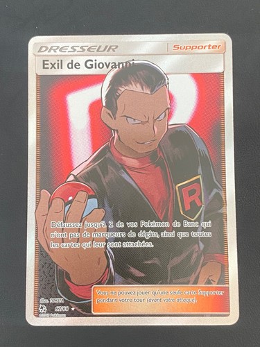 Carte pokemon exil giovanni - carte,