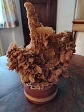 Bellissimo campione di"Rosa