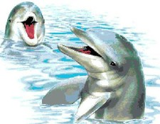 SCHEMA SCHEMI PUNTO CROCE