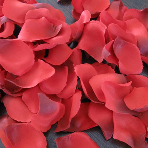 Petali rosa nella scatola - petali,