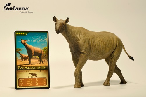 Eofauna paraceratherium - eofauna,