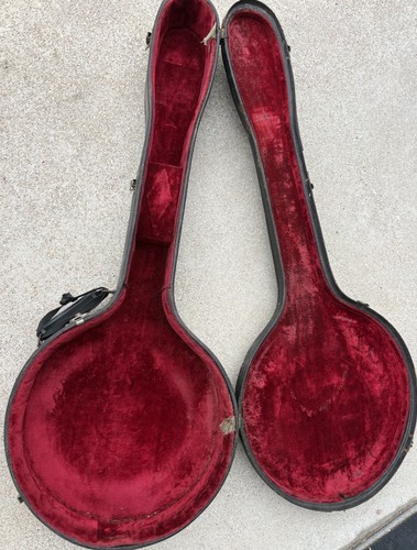 Custodia rigida banjo tenore