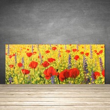 Paraschizzi da Cucina 125x50