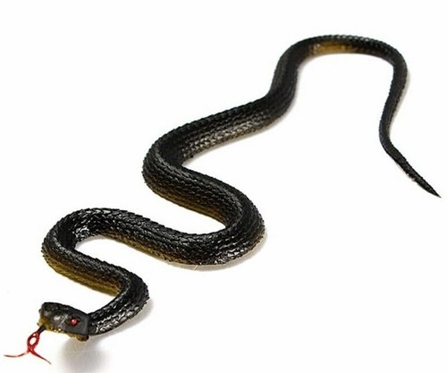 Serpente gomma realistico - in,