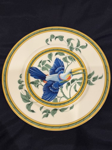 Toucans hermes porcellana - toucans,