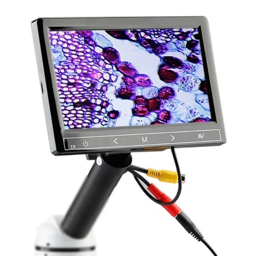 Schermo display microscopio - schermo,