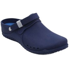 DR.SCHOLL'S CLOG PROGRESS