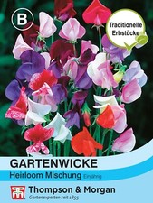 Fasciatoio da Giardino 'Miscela Cimelio' - Lathyrus odoratus, Wicke, Wicken Semi, 4259
