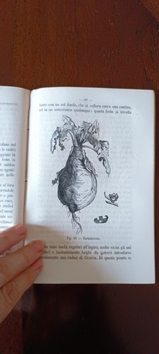 Agricoltura orticoltura - agricoltura,,