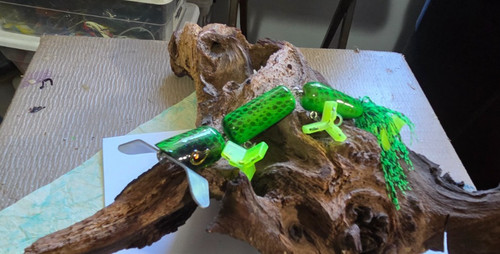 Nuovo serpente fiume - serpente, di