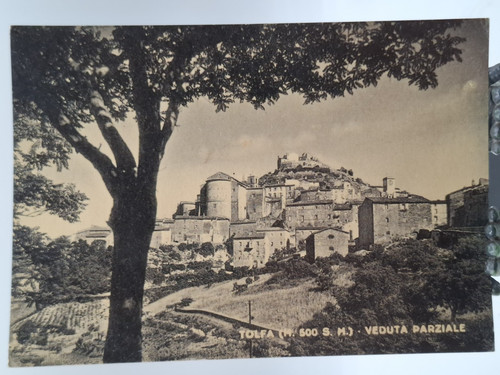 Cartolina epoca tolfa - d'epoca,