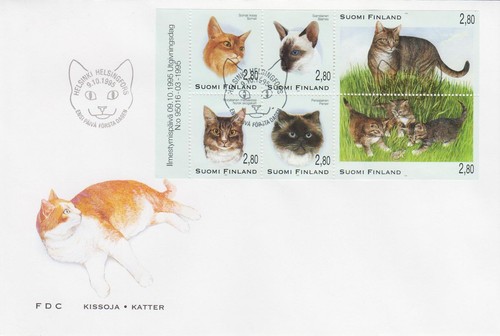 Foglio gatto casa - ,