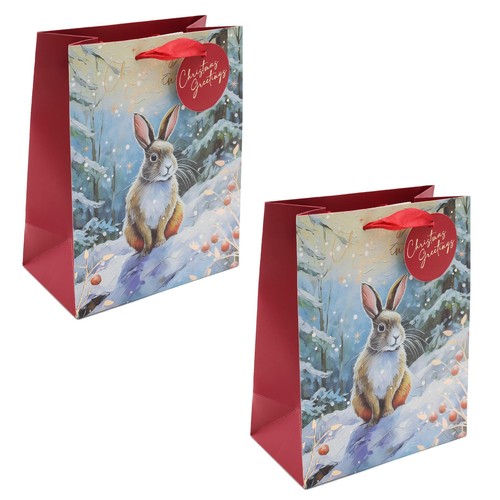 Confezione natale sacchetti - natale,
