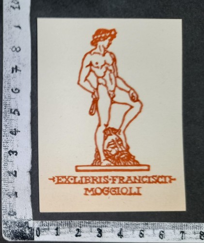 Wunderkammer exlibris 807 - wunderkammer,