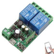 DieseRC Interruttore Intelligente Wi Fi 2 canali Modulo Relè di Uscita Passivo