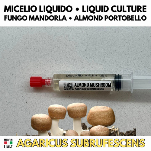 Fungo mandorlato coltura - mandorlato,
