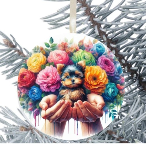 Yorkshire terrier cucciolo - terrier,