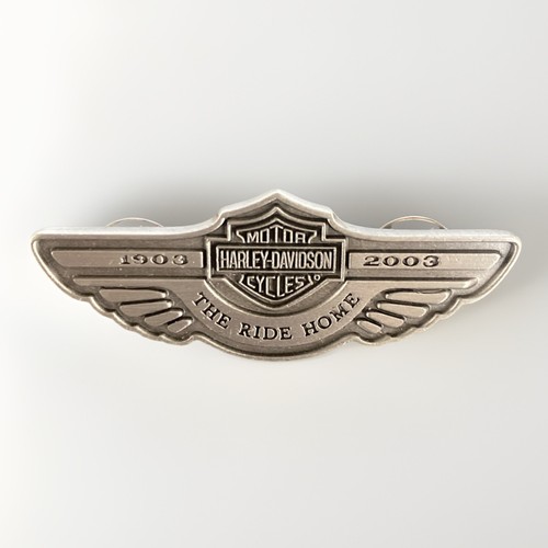 Spilla vintage 100 - vintage, 100°
