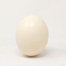 Uovo Di Struzzo Naturale 14,5x13cm CreaFlor Home
