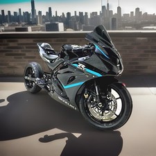 SUZUKI GSXR1000 GSXR750