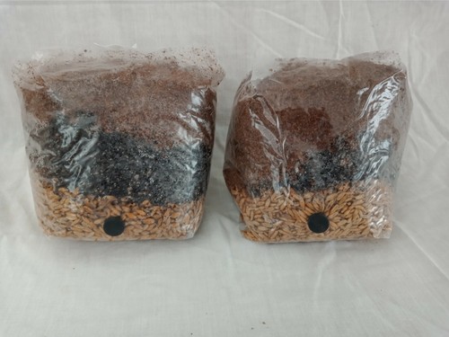 Sacchetti per coltivazione - sacchetti,
