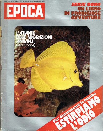1973 1182 strage della - 1973/1182=strage,