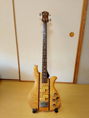 Basso elettrico rich usa - b.c.,