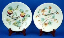 SCI Laveno Verbanum stone Coppia piatti Bassorilievo uccelli ceramica Deco 1900