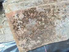 Tegole toscane antiche 15 pz